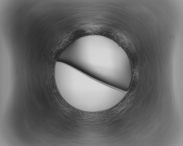 X0000108481012200904031115