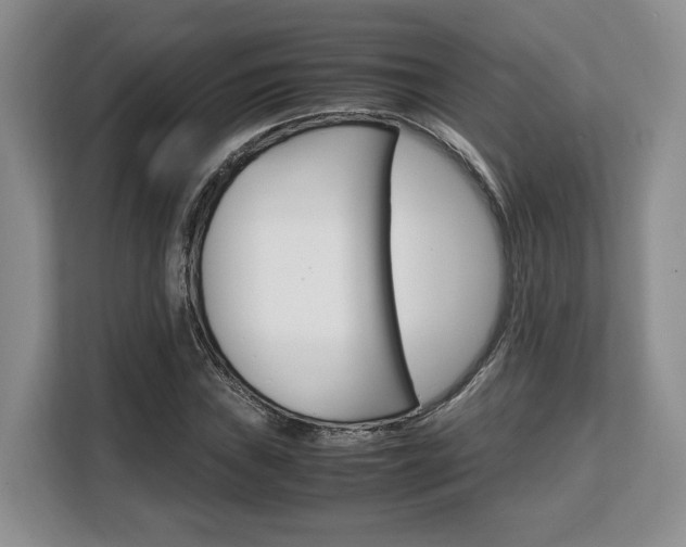 X0000108481019200904031115