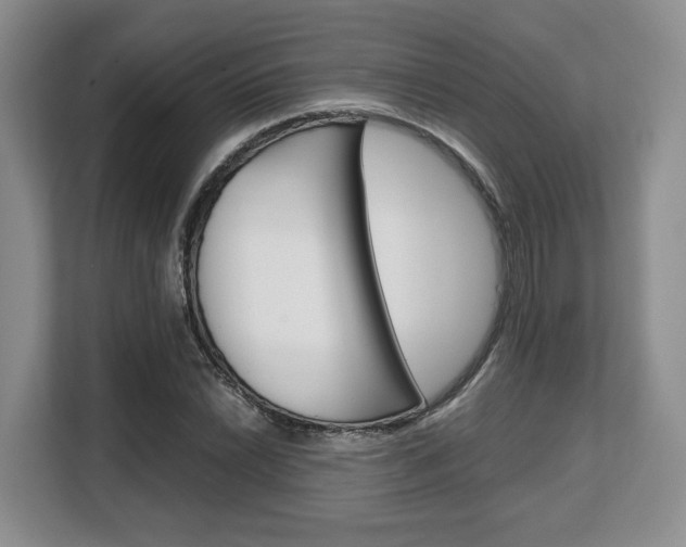 X0000108481022200904031115
