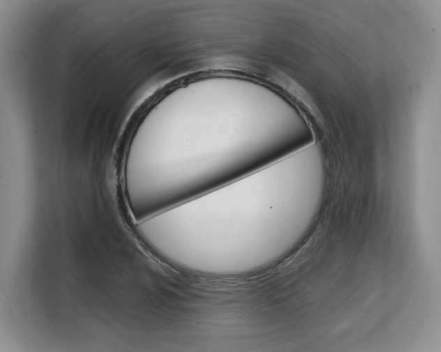 X0000108481024200904031115