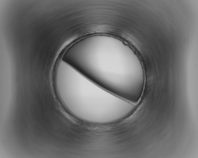 X0000108481026200904031115