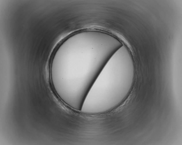 X0000108481032200904031115