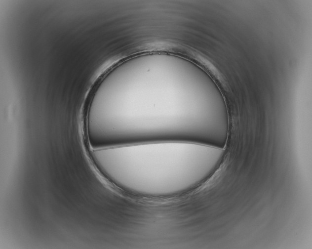 X0000108481034200904031115