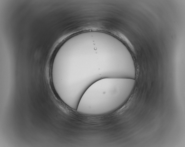 X0000108481035200904031115