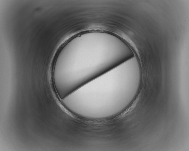 X0000108481037200904031115
