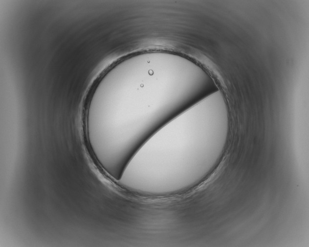 X0000108481038200904031115