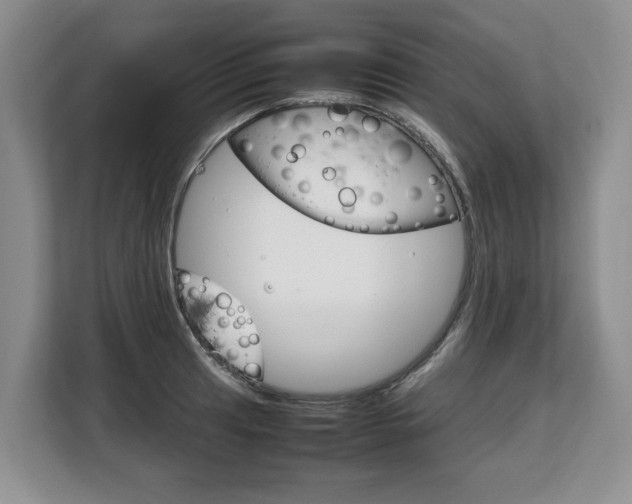 X0000108481041200904031115