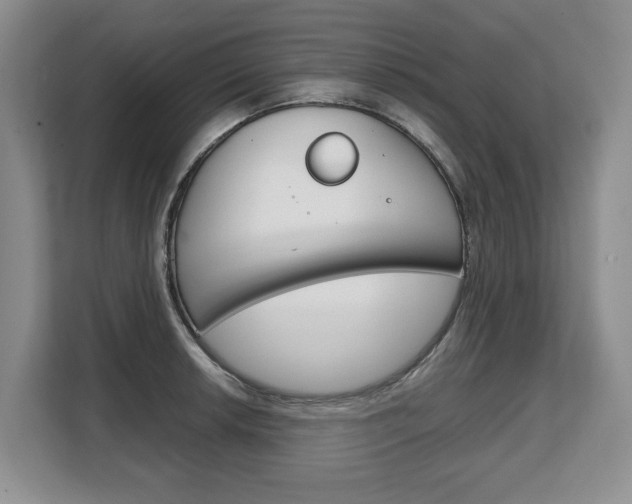 X0000108481042200904031115