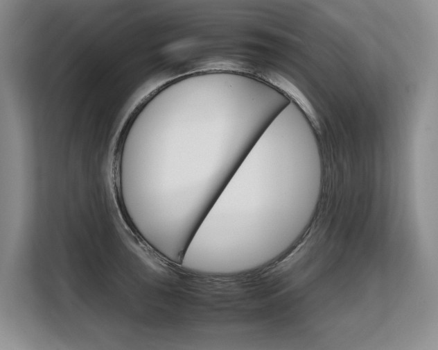 X0000108481043200904031115