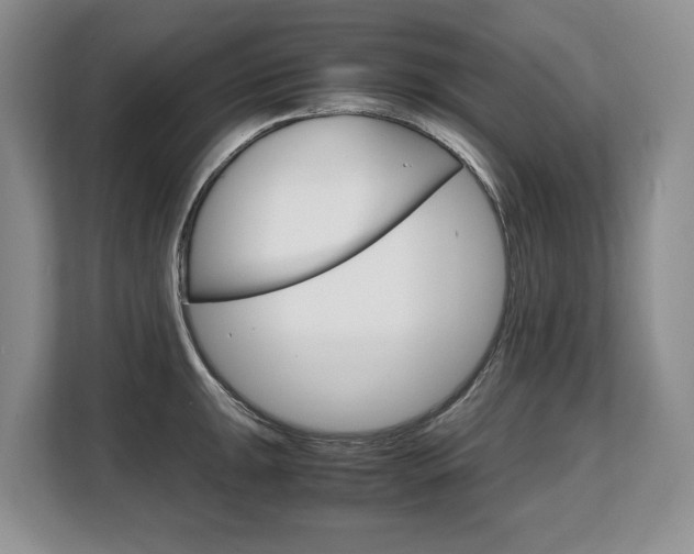 X0000108481047200904031115