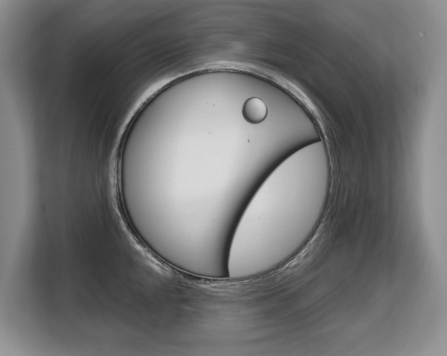 X0000108481048200904031115