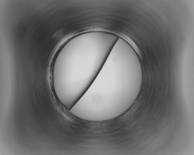X0000108481051200904031115