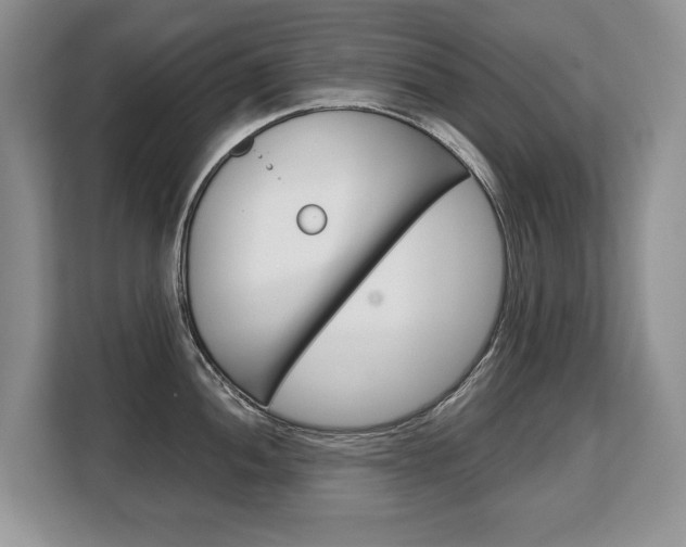 X0000108481052200904031115
