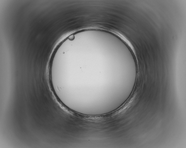 X0000108481053200904031115