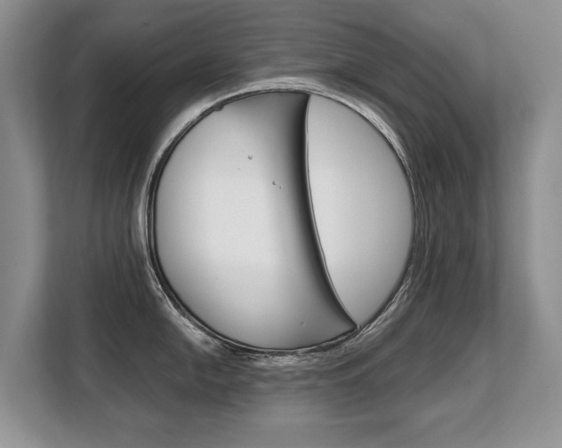 X0000108481054200904031115
