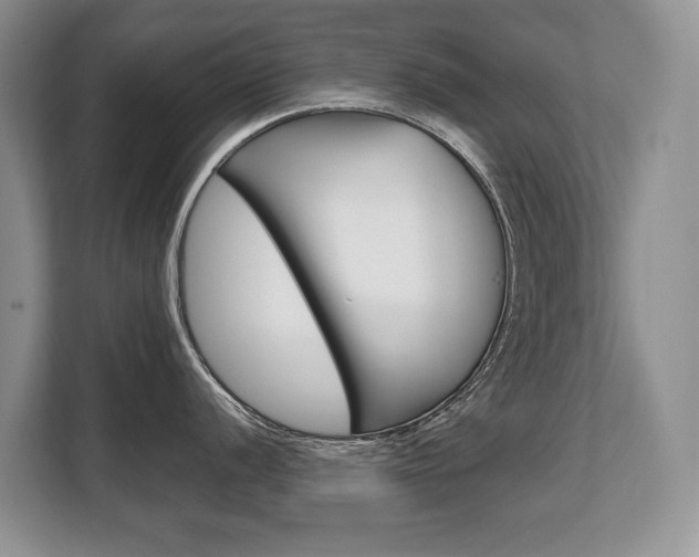 X0000108481056200904031115