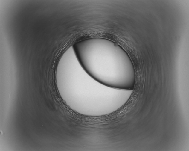 X0000108481057200904031115