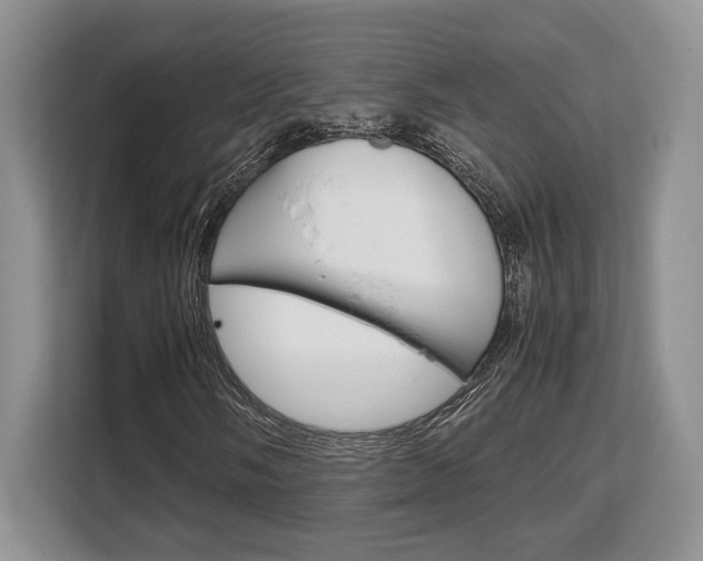 X0000108481058200904031115