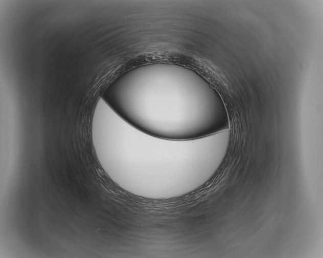 X0000108481060200904031115