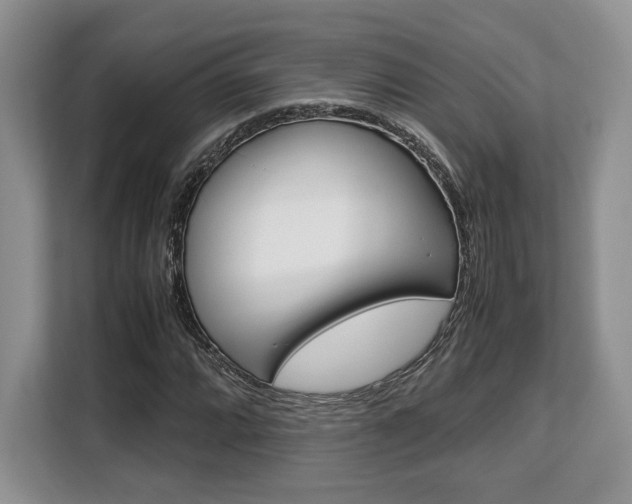 X0000108481064200904031115