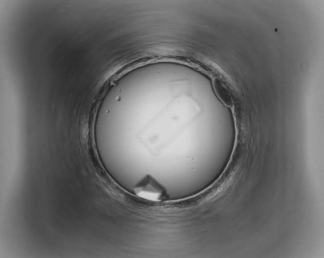 X0000108481065200904031115