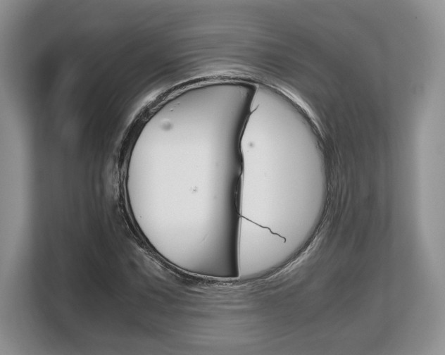 X0000108481067200904031115