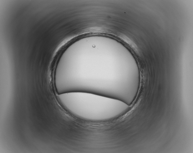 X0000108481070200904031115
