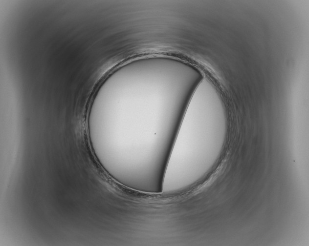 X0000108481073200904031115