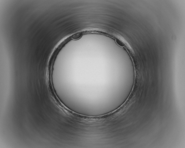 X0000108481076200904031115