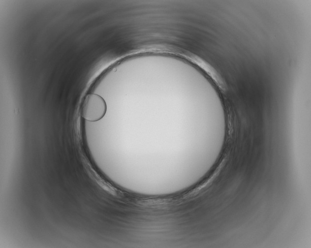 X0000108481078200904031115