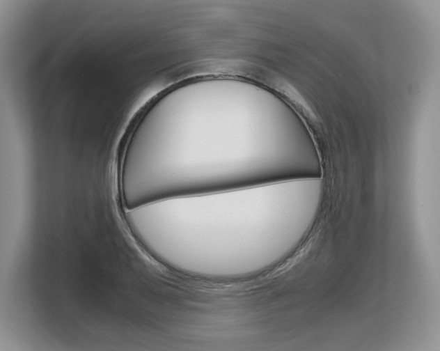 X0000108481079200904031115