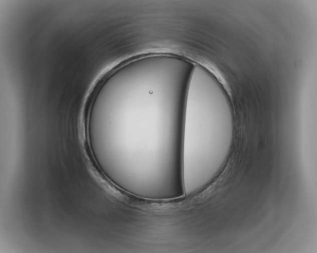 X0000108481080200904031115