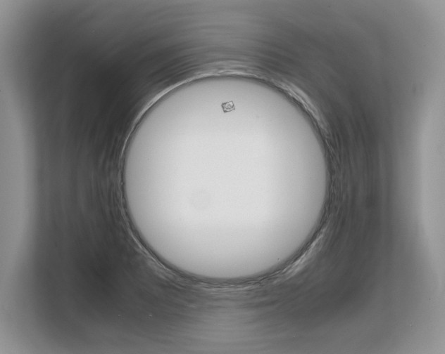 X0000108481081200904031115