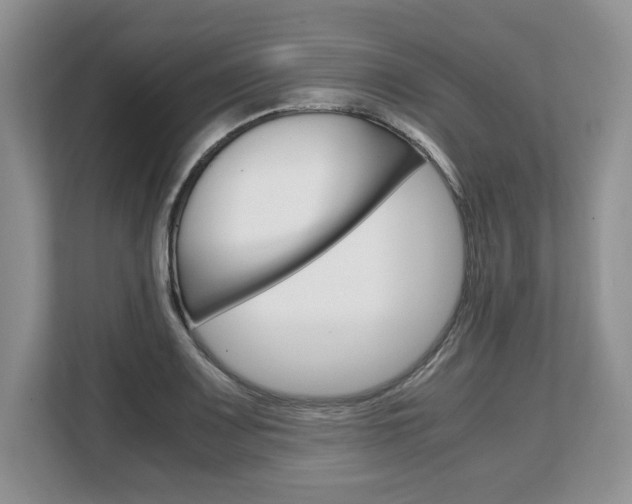X0000108481083200904031115