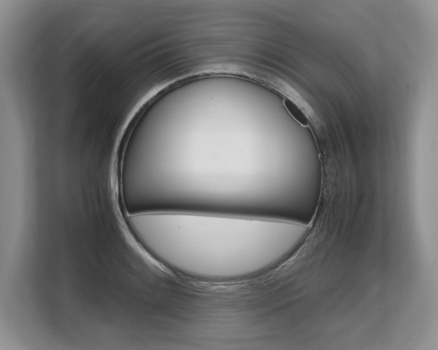 X0000108481084200904031115