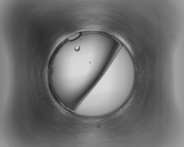 X0000108481085200904031115