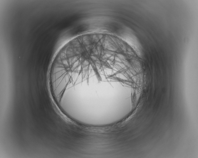 X0000108481086200904031114