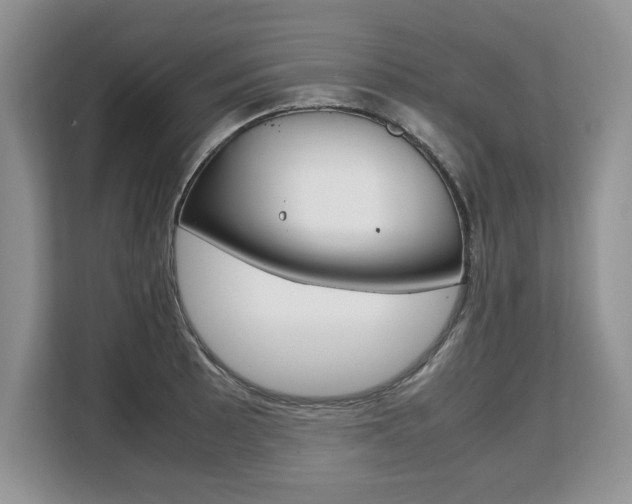 X0000108481089200904031114