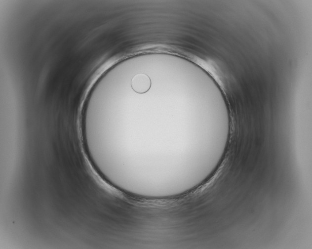 X0000108481090200904031114