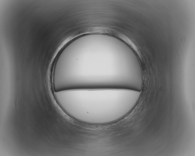 X0000108481091200904031114