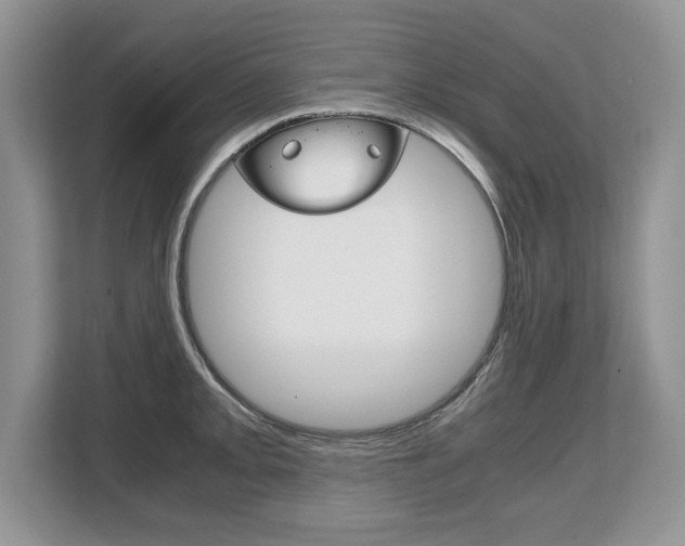 X0000108481093200904031114