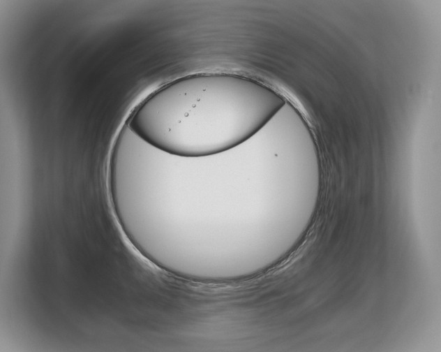 X0000108481095200904031114