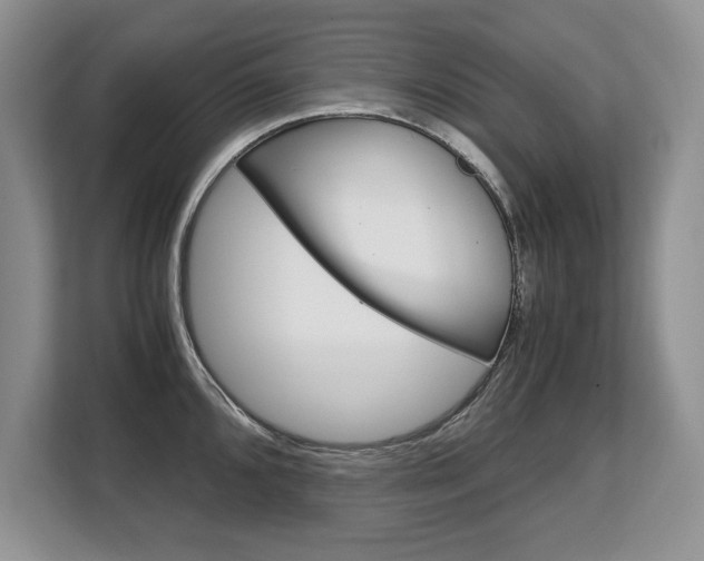 X0000108481096200904031114