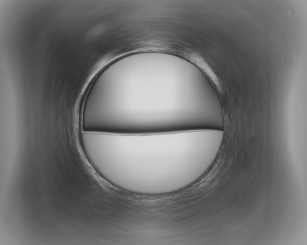 X0000108481099200904031114