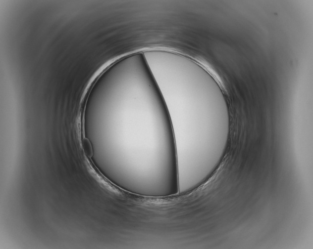 X0000108481100200904031114