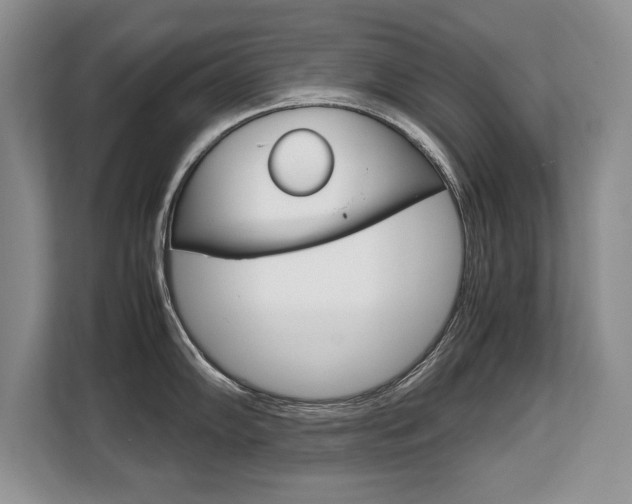 X0000108481102200904031114
