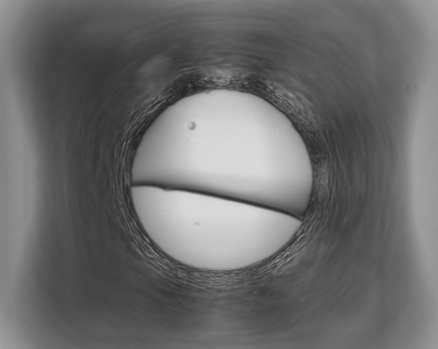 X0000108481105200904031114