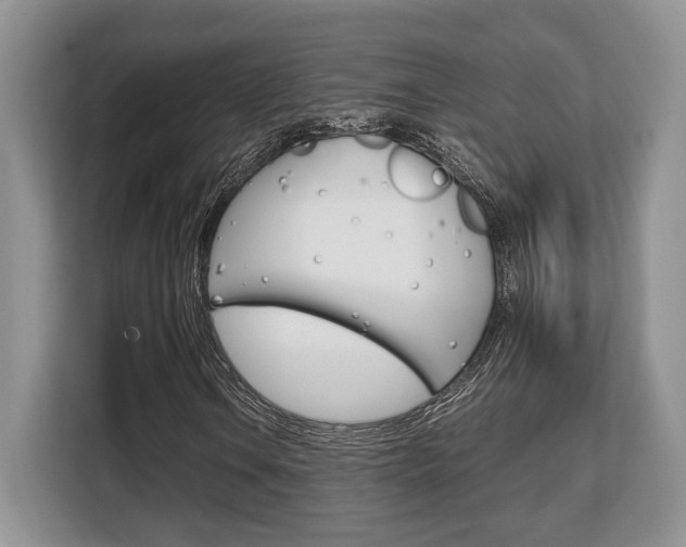 X0000108481106200904031114