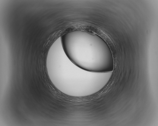 X0000108481108200904031114