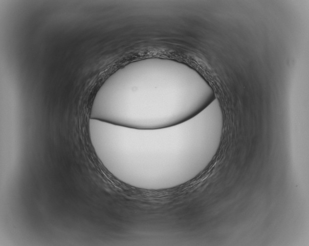 X0000108481109200904031114